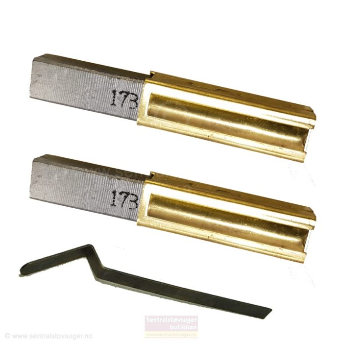 Kullbørster til Electro Motor - Med verktøy