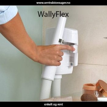 WallyFlex
