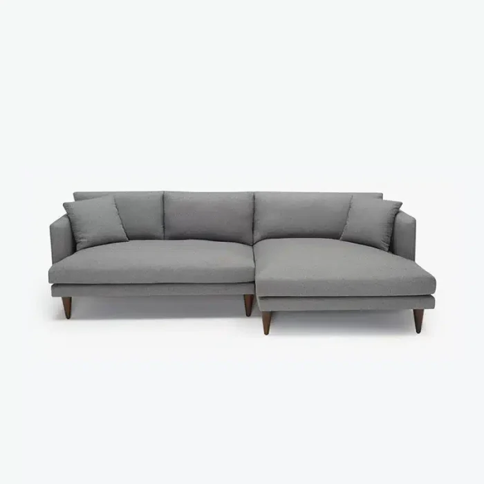 Lewis Sectional